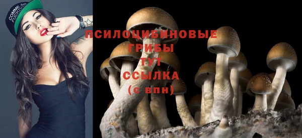 прущая мука Верхний Тагил
