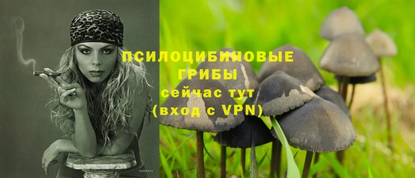 прущая мука Верхний Тагил