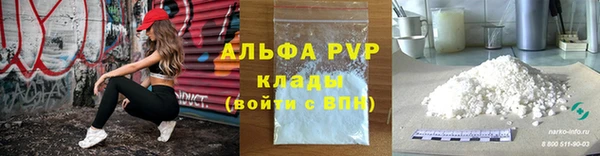ГАЛЛЮЦИНОГЕННЫЕ ГРИБЫ Верея