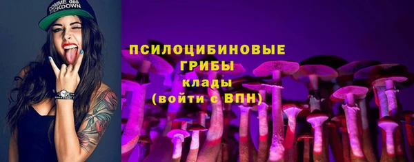ГАЛЛЮЦИНОГЕННЫЕ ГРИБЫ Верея
