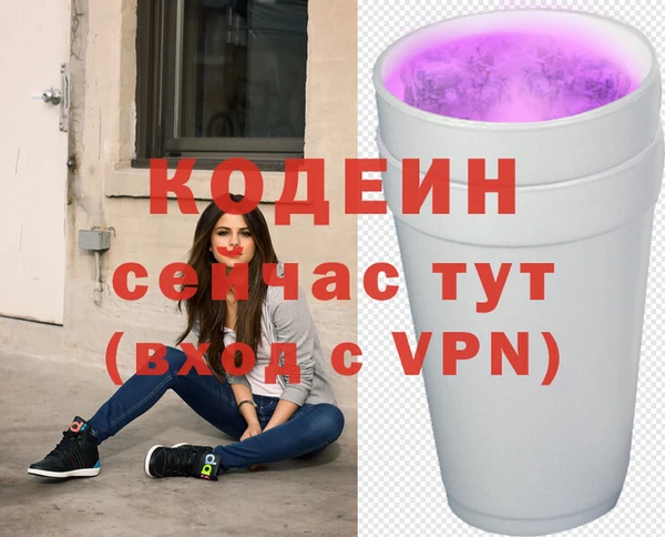 ГАЛЛЮЦИНОГЕННЫЕ ГРИБЫ Верея