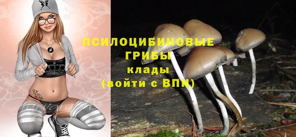 ГАЛЛЮЦИНОГЕННЫЕ ГРИБЫ Верея