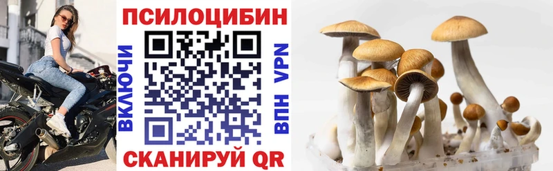 Купить где  Уржум  Галлюциногенные грибы Magic Shrooms 