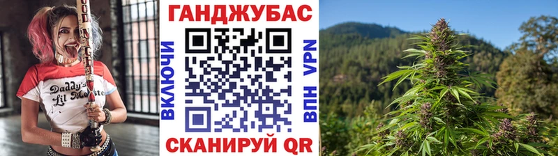 Каннабис индика  Купить закладки  Уржум 